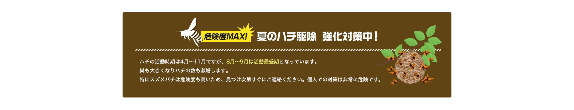 夏のハチ駆除強化対策中